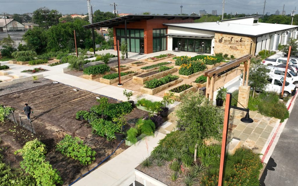 Bexar County “Greenies” Urban Farm