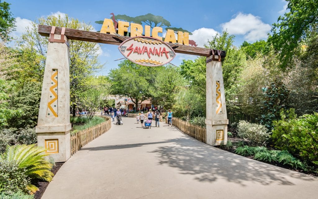 Fort Worth Zoo – African Savanna