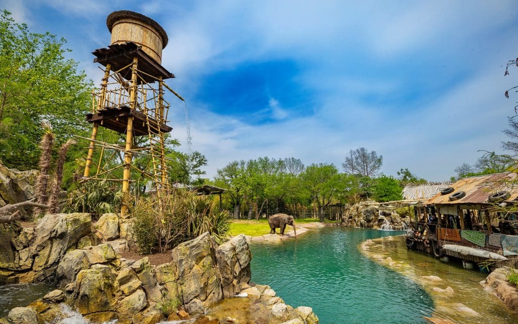 Fort Worth Zoo – Elephant Springs